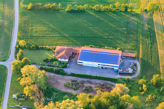 Grünzeug Sammelstelle im Ortsteil Kleinsteinfeld in Steinfeld im Bundesland Rheinland-Pfalz, Deutschland