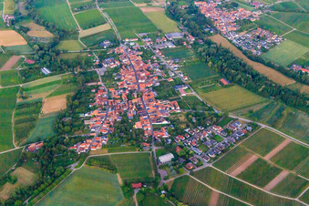 Winzerdorf im Abendlicht aus Westen im Ortsteil Heuchelheim in Heuchelheim-Klingen im Bundesland Rheinland-Pfalz, Deutschland