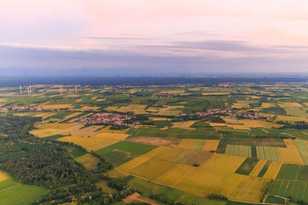 Ortsansicht am Horbachtal im Abendlicht aus Norden in Barbelroth im Bundesland Rheinland-Pfalz, Deutschland