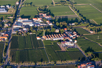 Ortsteil Bordmühle mit Autohaus Schreieck GmbH undf Richard Gerlinger GmbH & Co. KG in Kirrweiler im Bundesland Rheinland-Pfalz, Deutschland