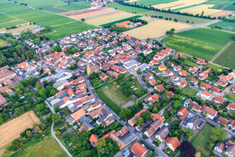 Großfischlingen von Westen im Bundesland Rheinland-Pfalz, Deutschland