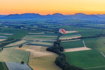 Gleitschirmtrike am Abend in Insheim im Bundesland Rheinland-Pfalz, Deutschland