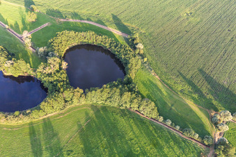 Zwei runde Teiche im Felde im Ortsteil Röpersdorf in Nordwestuckermark im Bundesland Brandenburg, Deutschland