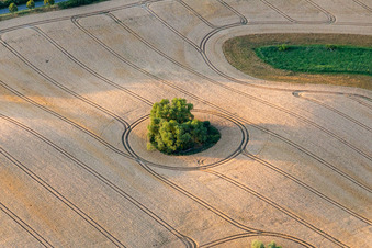 Runde Getreidefeld- Struktur: Toteissee im Acker in der Uckermark in Gerswalde im Ortsteil Groß Fredenwalde im Bundesland Brandenburg, Deutschland