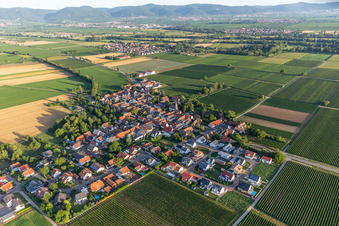 Kleinfischlingen von Südosten im Bundesland Rheinland-Pfalz, Deutschland