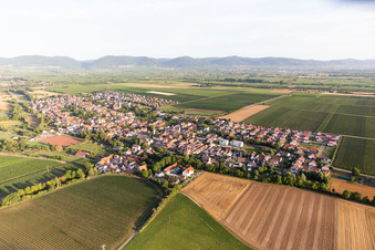 Essingen im Bundesland Rheinland-Pfalz, Deutschland von oben gesehen