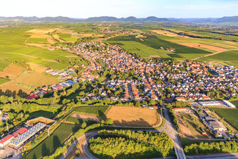 Insheim von Osten im Bundesland Rheinland-Pfalz, Deutschland