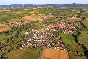 Luftaufnahme von Billigheim von Nordosten in Billigheim-Ingenheim im Bundesland Rheinland-Pfalz, Deutschland