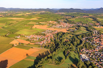 Mühlhofen von Nordosten in Billigheim-Ingenheim im Bundesland Rheinland-Pfalz, Deutschland