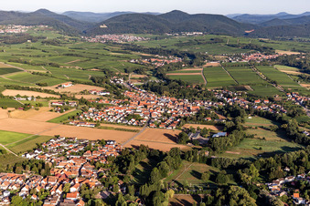 Ingenheim von Osten in Billigheim-Ingenheim im Bundesland Rheinland-Pfalz, Deutschland