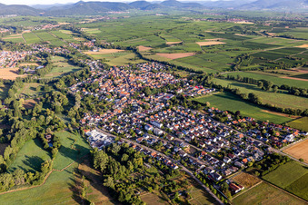 Billigheim von Südosten in Billigheim-Ingenheim im Bundesland Rheinland-Pfalz, Deutschland