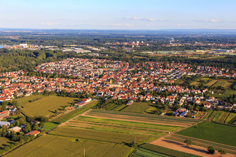 Lingenfeld von Norden im Bundesland Rheinland-Pfalz, Deutschland