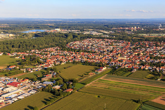 Luftbild von Lingenfeld von Norden im Bundesland Rheinland-Pfalz, Deutschland