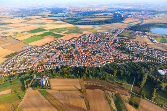 Waldsee aus Südosten im Bundesland Rheinland-Pfalz, Deutschland