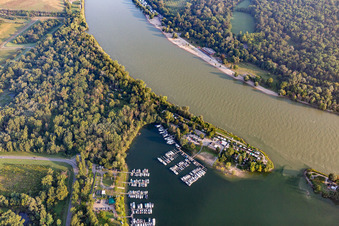 Yachthafen Kiefweiher im Ortsteil Rheingönheim in Ludwigshafen am Rhein im Bundesland Rheinland-Pfalz, Deutschland