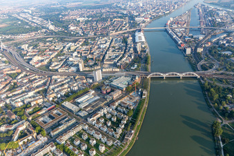 Wohnen am Fluß, Rheinschanzenpromenade im Ortsteil Süd in Ludwigshafen am Rhein im Bundesland Rheinland-Pfalz, Deutschland aus der Luft