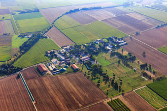 Ortsteil Neubotzheim in Ladenburg im Bundesland Baden-Württemberg, Deutschland
