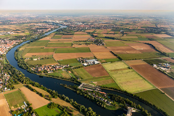 Neckar im Ortsteil Schwabenheim in Dossenheim im Bundesland Baden-Württemberg, Deutschland