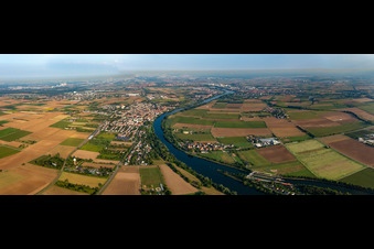 Neckar bei Edingen in Edingen-Neckarhausen im Bundesland Baden-Württemberg, Deutschland