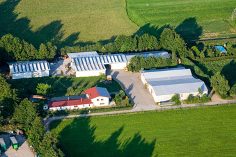 Drohnenaufname von In den Rötzwiesen, Hof Fam. Kerth im Ortsteil Minderslachen in Kandel im Bundesland Rheinland-Pfalz, Deutschland