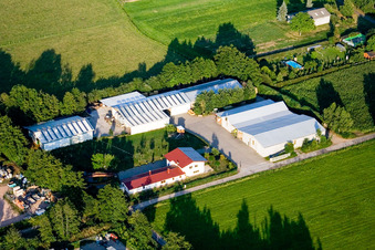 In den Rötzwiesen, Hof Fam. Kerth im Ortsteil Minderslachen in Kandel im Bundesland Rheinland-Pfalz, Deutschland aus der Drohnenperspektive