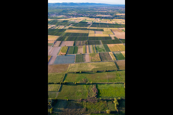 UL Sonderlandeplatz in Billigheim-Ingenheim im Bundesland Rheinland-Pfalz, Deutschland