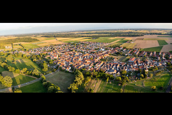 Panorama der Dorfübersicht aus Nordwesten in Steinweiler im Bundesland Rheinland-Pfalz, Deutschland