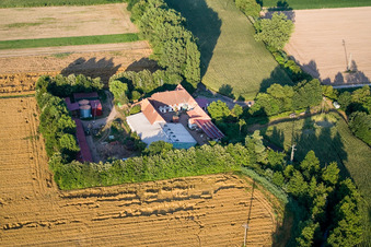 Luftaufnahme von Am Erlenbach, Leistenmühle in Kandel im Bundesland Rheinland-Pfalz, Deutschland