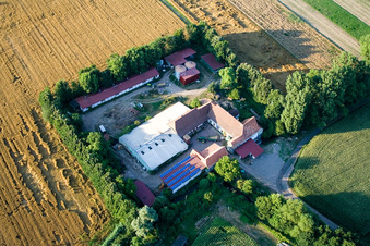 Am Erlenbach, Leistenmühle in Kandel im Bundesland Rheinland-Pfalz, Deutschland aus der Luft