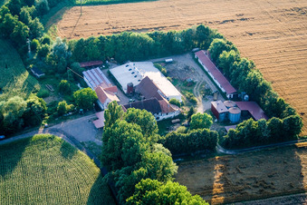 Am Erlenbach, Leistenmühle in Kandel im Bundesland Rheinland-Pfalz, Deutschland aus der Vogelperspektive