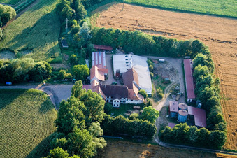 Am Erlenbach, Leistenmühle in Kandel im Bundesland Rheinland-Pfalz, Deutschland aus der Luft betrachtet