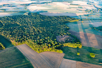Luftbild von Forets in Chaouilley im Bundesland Meurthe-et-Moselle, Frankreich