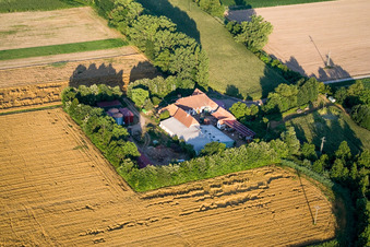 Luftbild von Am Erlenbach, Leistenmühle in Kandel im Bundesland Rheinland-Pfalz, Deutschland