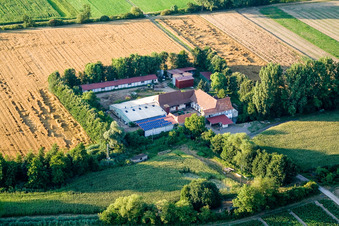 Schrägluftbild von Am Erlenbach, Leistenmühle in Kandel im Bundesland Rheinland-Pfalz, Deutschland
