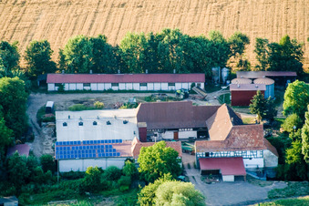 Am Erlenbach, Leistenmühle in Kandel im Bundesland Rheinland-Pfalz, Deutschland von oben gesehen