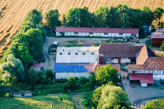 Am Erlenbach, Leistenmühle in Kandel im Bundesland Rheinland-Pfalz, Deutschland aus der Vogelperspektive