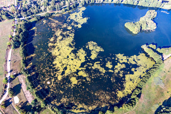 Uferbereiche am Seegebiet des Ètang du Breuil in einem Waldgebiet in Flavigny-sur-Moselle im Bundesland Meurthe-et-Moselle, Frankreich
