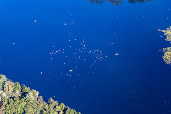 Luftbild von Ètang du Breuil in Flavigny-sur-Moselle im Bundesland Meurthe-et-Moselle, Frankreich