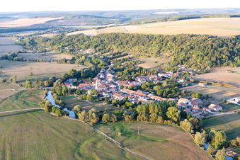 Sauvigny