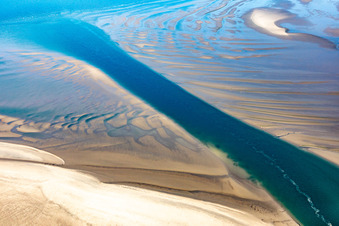 Luftaufnahme von Mähnenrobben und Seehunde am Priel zur Sandbank Peter Meyers in Fanø im Bundesland Syddanmark, Dänemark