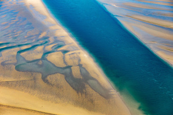 Schrägluftbild von Mähnenrobben und Seehunde am Priel zur Sandbank Peter Meyers in Fanø im Bundesland Syddanmark, Dänemark