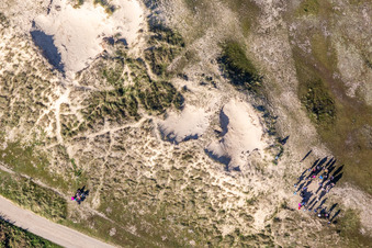 Dünen in Fanø im Bundesland Syddanmark, Dänemark