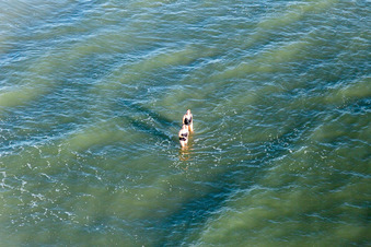 Drohnenbild von Fanoe Bad Beach in Fanø im Bundesland Syddanmark, Dänemark