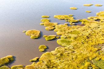 Nationalpark Wattenmeer in Fanø im Bundesland Syddanmark, Dänemark von einer Drohne aus