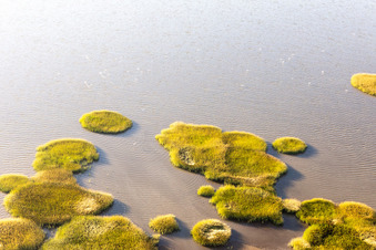 Luftaufnahme von Nationalpark Wattenmeer in Fanø im Bundesland Syddanmark, Dänemark