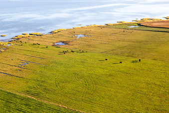 Nationalpark Wattenmeer in Fanø im Bundesland Syddanmark, Dänemark aus der Luft betrachtet