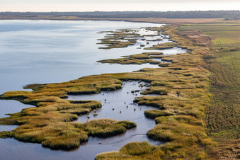 Küste bei Flut im Nationalpark Wattenmeer an der Nordsee in Fanö in Region Syddanmark in Fanø, Dänemark