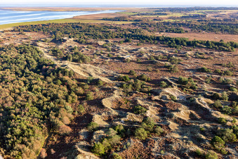 Nationalpark Wattenmeer in Fanø im Bundesland Syddanmark, Dänemark von einer Drohne aus