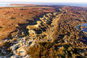 Sand- Dünen- und Küsten- Landschaft im Nationalpark Wattenmeer auf Fanö in Region Syddanmark in Fanø, Dänemark