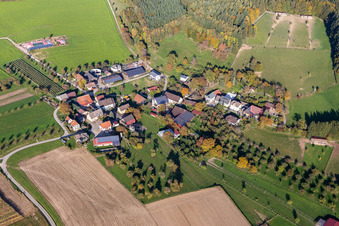 Straussenfarm Hegau-Bodensee in Stockach im Bundesland Baden-Württemberg, Deutschland